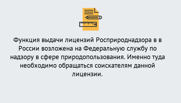 Почему нужно обратиться к нам? Усть-Илимск Лицензия Росприроднадзора. Под ключ! в Усть-Илимск