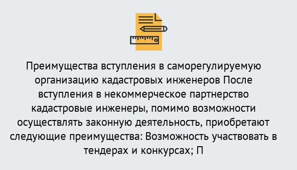 Почему нужно обратиться к нам? Усть-Илимск Что дает допуск СРО кадастровых инженеров?