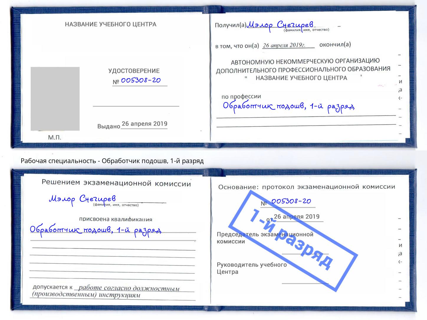 корочка 1-й разряд Обработчик подошв Усть-Илимск